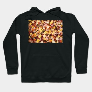 leaves in the fall Hoodie